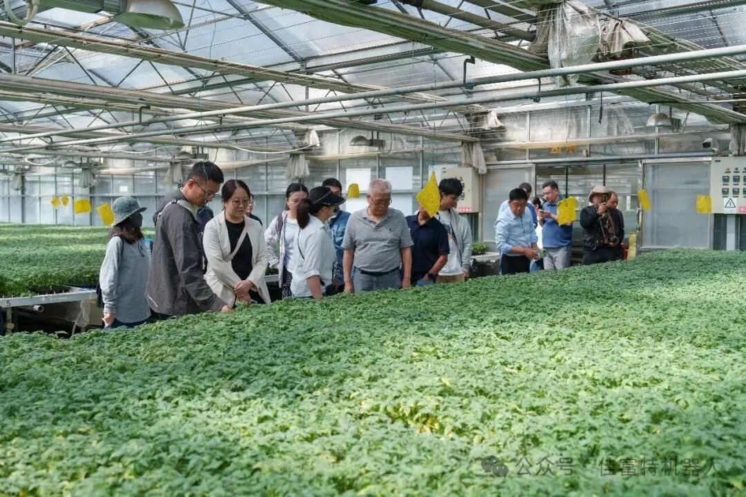 Technical personnel conducting seedling experiments
