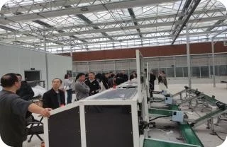 Automated Seedling Grading & Sorting Facility