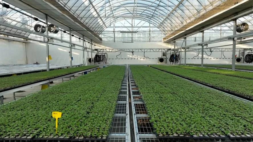 International nursery automation project evaluation and technical support