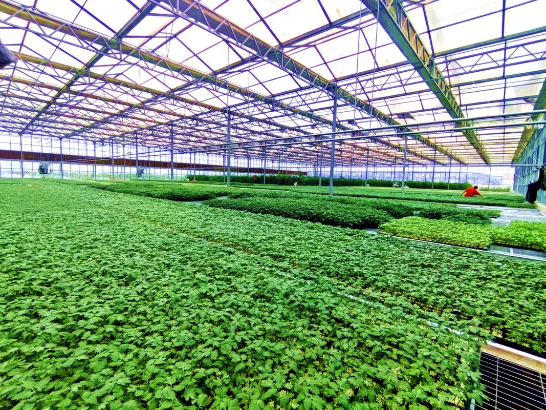 Greenhouse or factory layout for equipment placement