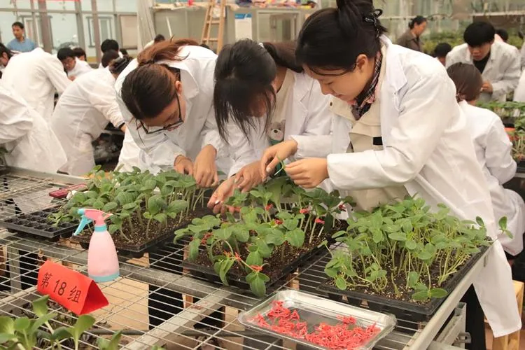 Research and Smart Agriculture Projects