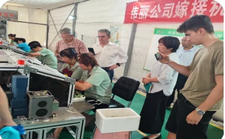 Large-scale Tomato Grafting Automation Facility