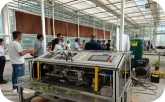 High-Yield Watermelon Grafting Line