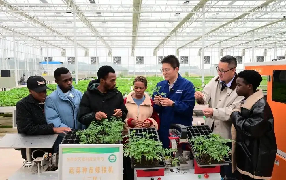 AiGRAFT engineering team testing seedling grafting equipment