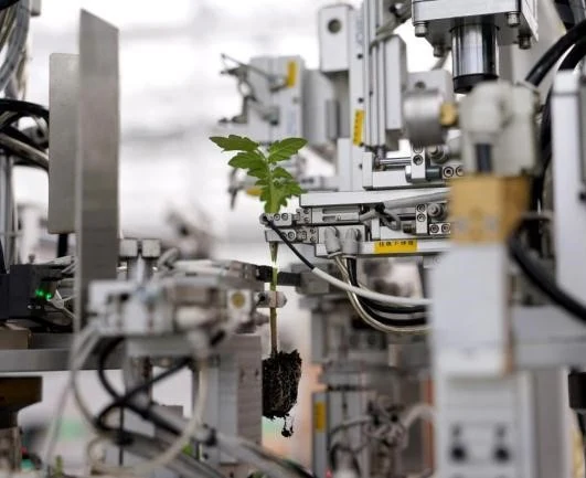 Semi-Automatic vs Fully Automatic Grafting Machine: Which Is Right for Your Nursery?