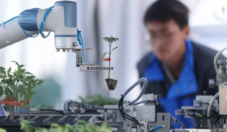 What Is a Seedling Grafting Robot? Why Choose an Automatic Grafting Machine for Your Nursery?